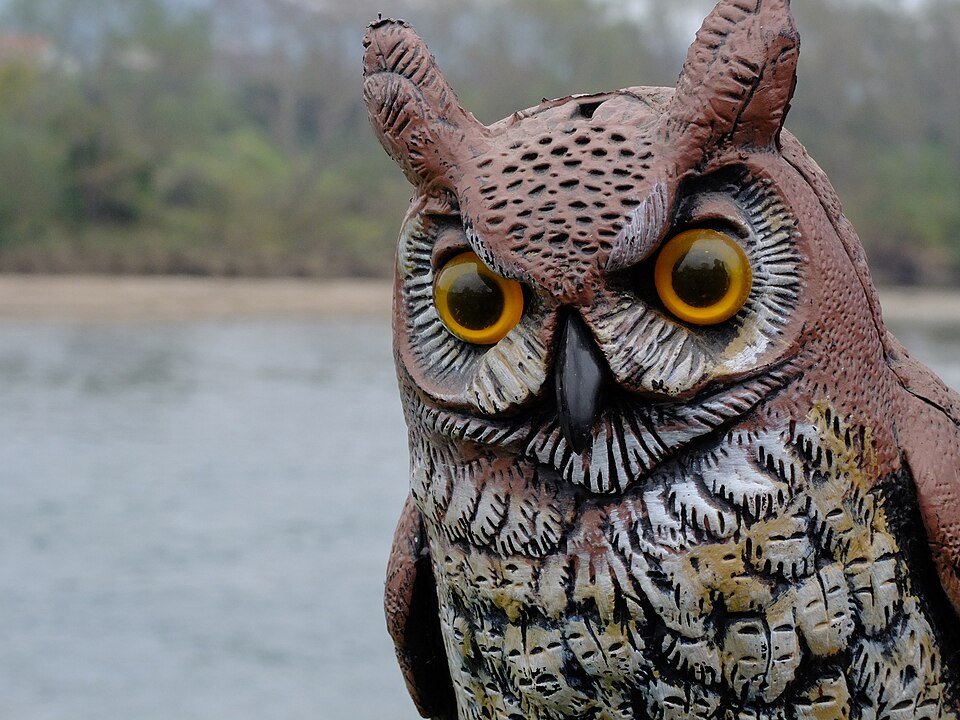 🌊 영국 해안 (이기리스 카이간) 이미지 1